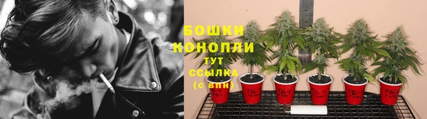 шишки Алексин