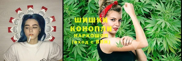 шишки Алексин