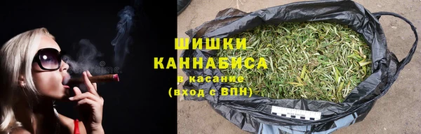 шишки Алексин