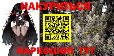 гидра Лесосибирск
