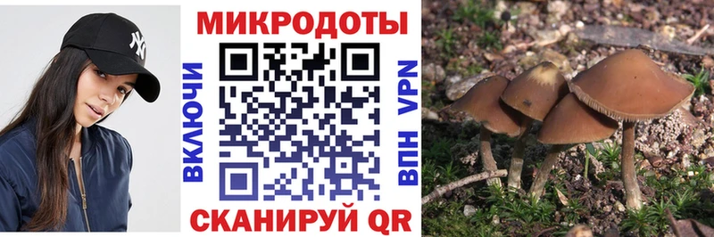 Псилоцибиновые грибы ЛСД  Ишим 